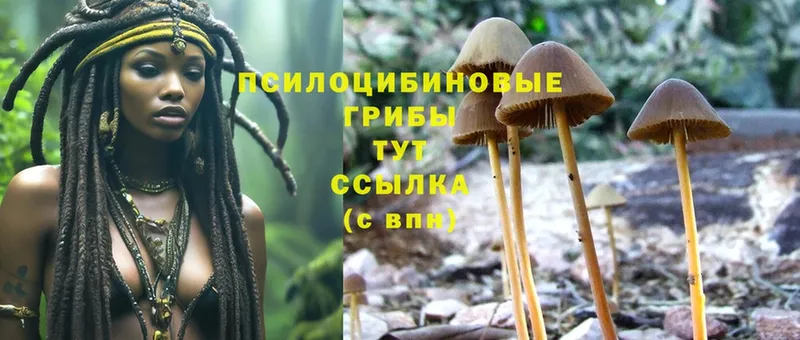 как найти закладки  hydra как зайти  Псилоцибиновые грибы Magic Shrooms  Кяхта 